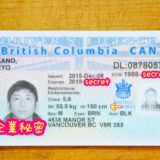 カナダ・ブリティッシュコロンビアの運転免許証の写真