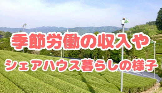 京都の宇治茶収穫バイトで稼ぐ｜給料や仕事スケジュールを紹介します〜