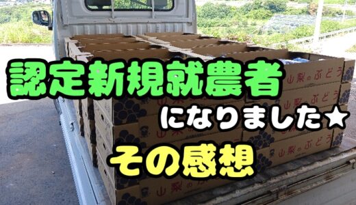 移住して田舎暮らし｜認定新規就農者になるメリットについて