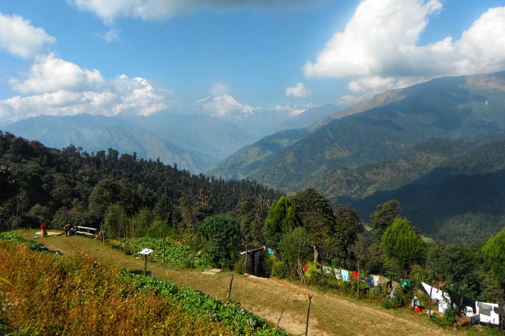 ネパール・ポカラ・トレッキング(遠くに見えるアンナプルナ)の写真
