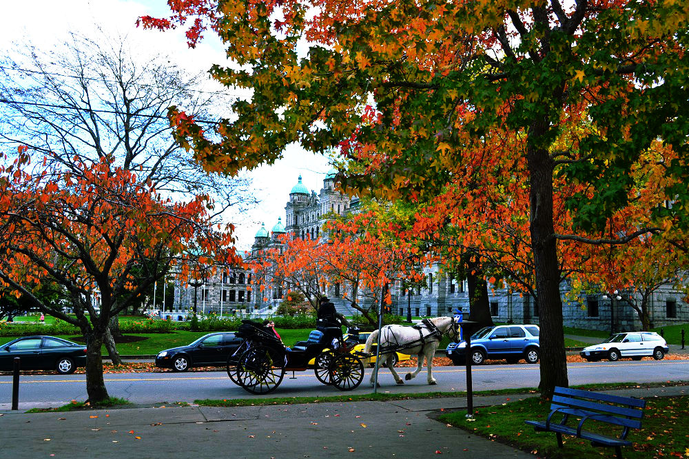 カナダ、ビクトリアの秋の写真