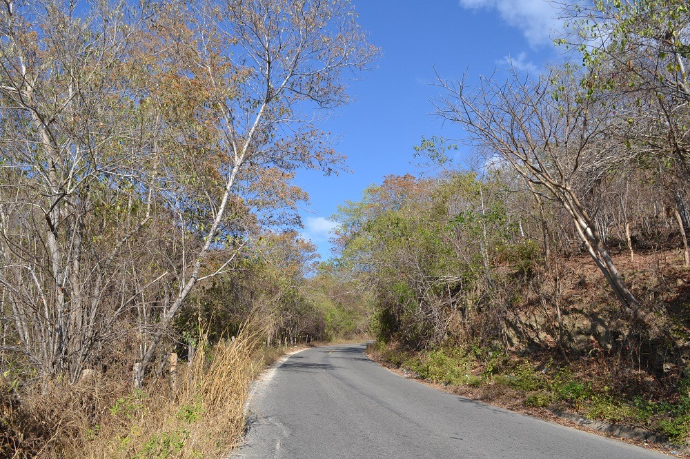 メキシコ・シポリテとマスンテの道路の写真