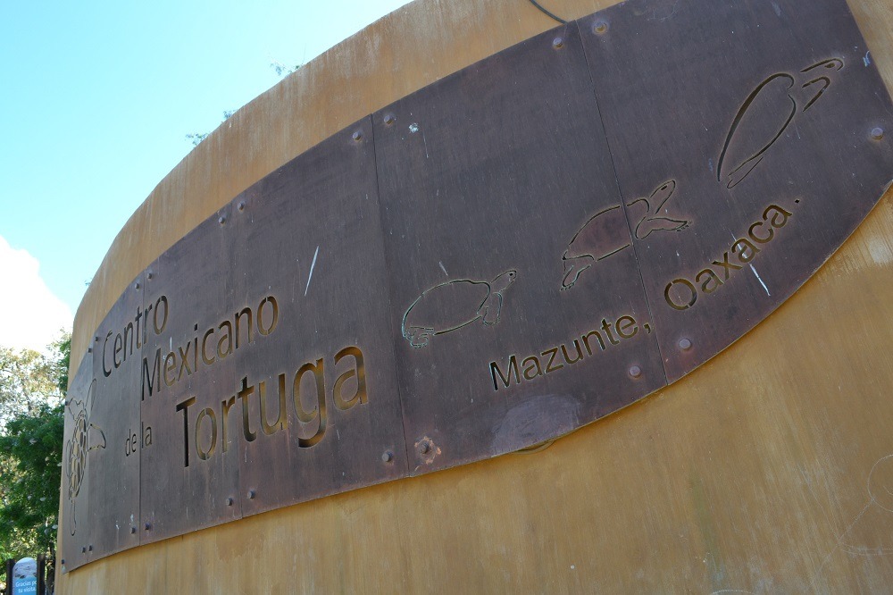 マスンテのウミガメ水族館看板の写真