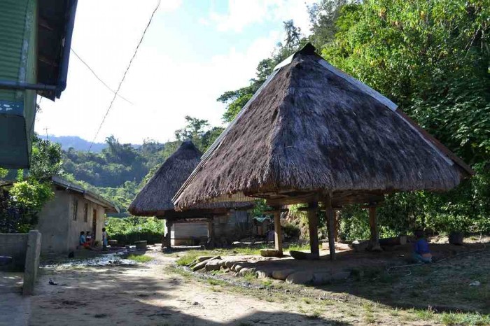 タムアン村の写真