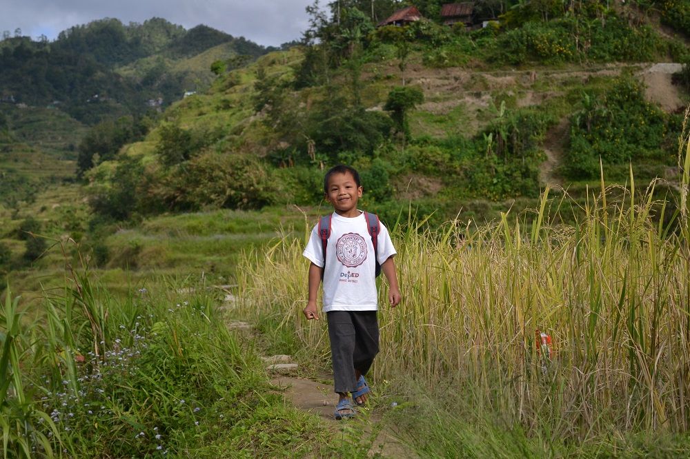 田んぼを歩く少年の写真