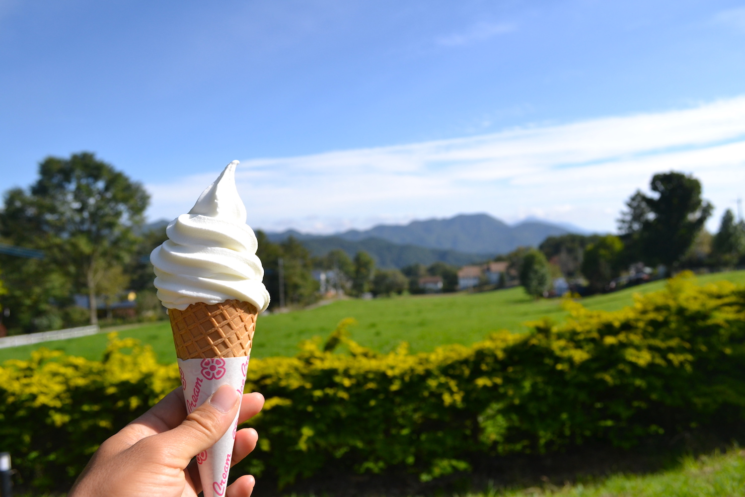 山梨県ミルクプラントのソフトクリームの写真