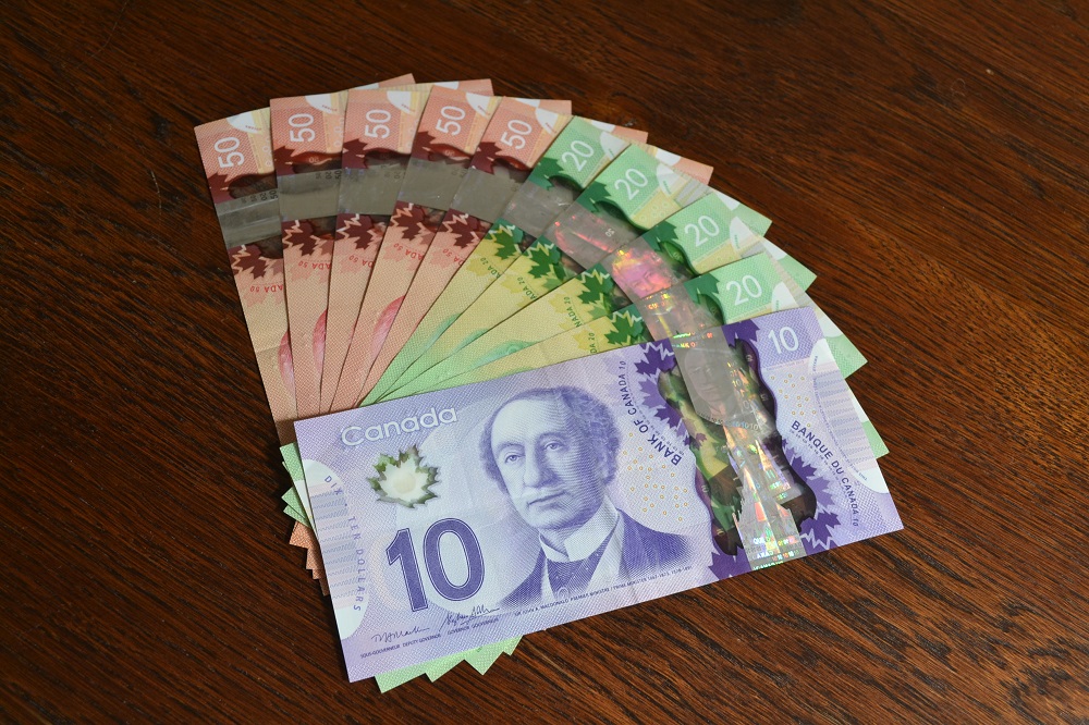カナダのお金(ドル紙幣)の写真