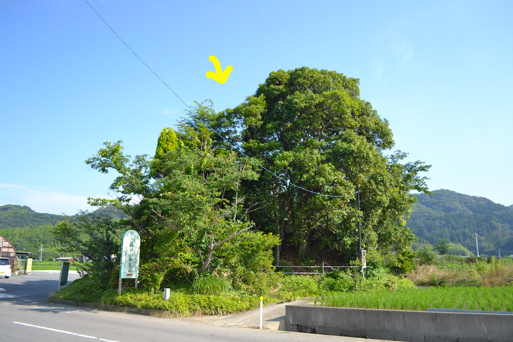 徳島県｜日本一低い自然の山・弁天山の写真