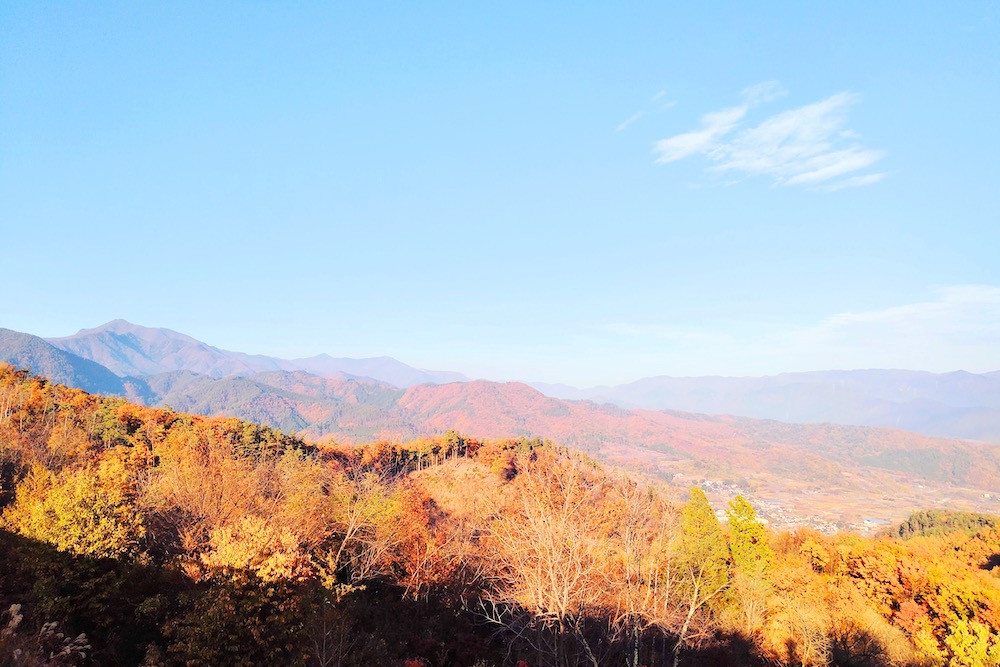 山梨県ほったらかしキャンプ場からの景色(山の紅葉)の写真