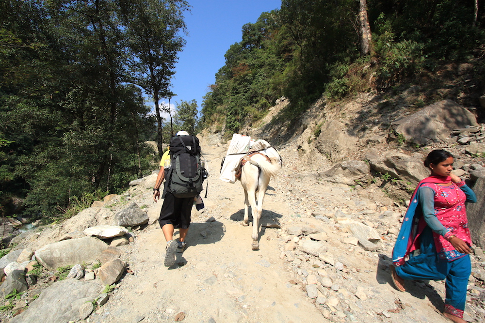 ネパール・ポカラでトレッキング(ロバと地元の人)の写真