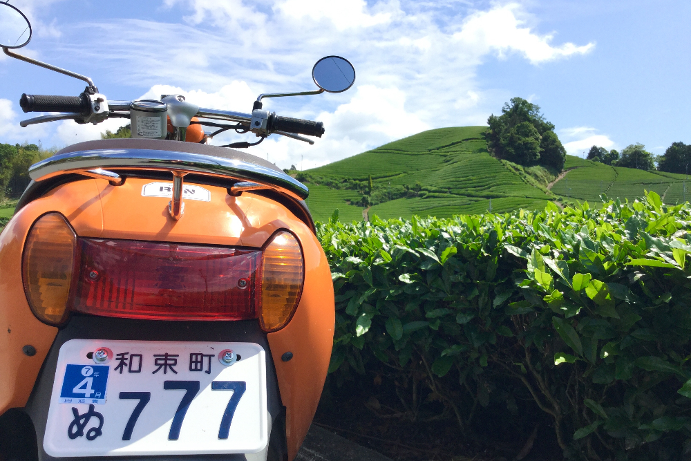 京都宇治和束町石寺の茶畑とバイクの写真